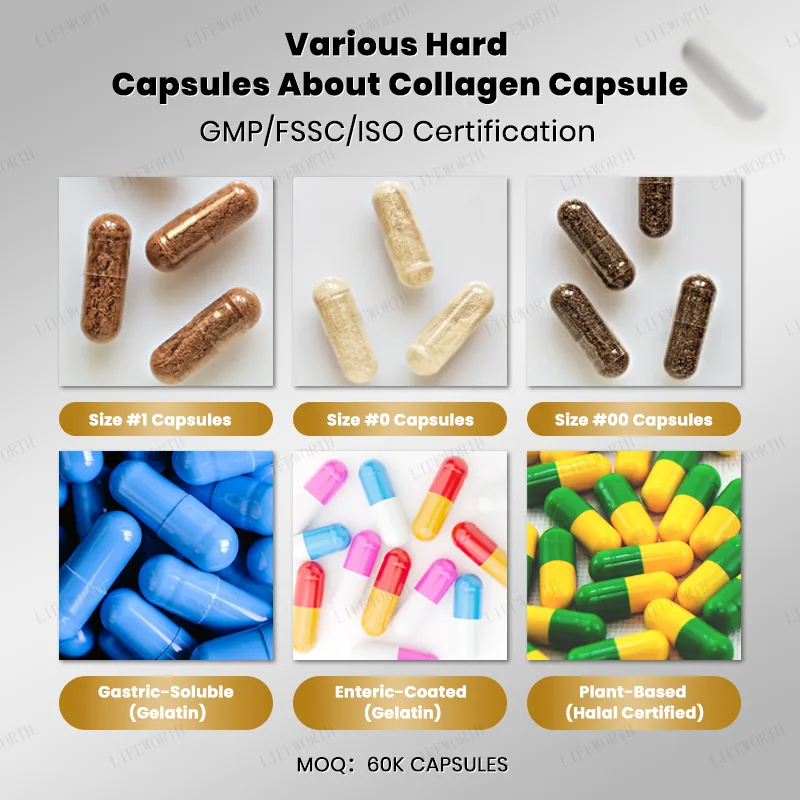 Xinbada Adult Collagen Women Men Types I II III V X Multi Collagen Complex Capsules (60 Capsules Bottle) Skin Care GMP lifestyle and product image 6