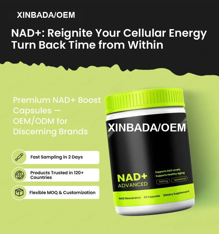 Xinbada Adult Supplement Advanced Liposomal Booster 300mg 500mg 500mg 1000mg NAD Capsules Antioxidant product specification image 3