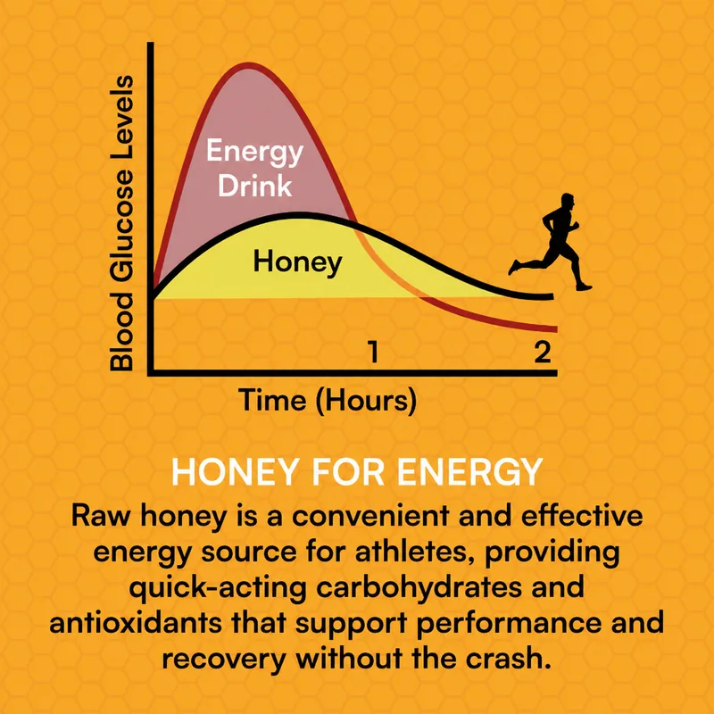 Xinbada Wild Ginger Honey Energy Gel Packets 10 Count product gallery image 4