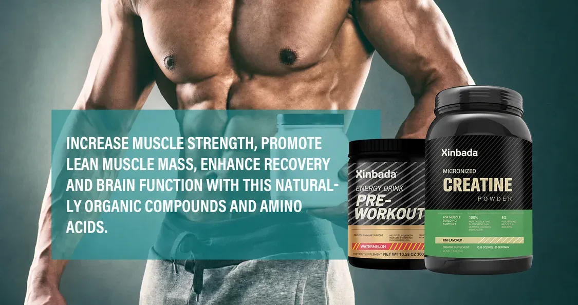 Xinbada BCAA Creatine Monohydrate Pre Workout Powder product gallery image 4