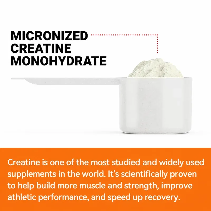 Xinbada Sugar Free Creatine Monohydrate Mass Gainer Powder product gallery image 5