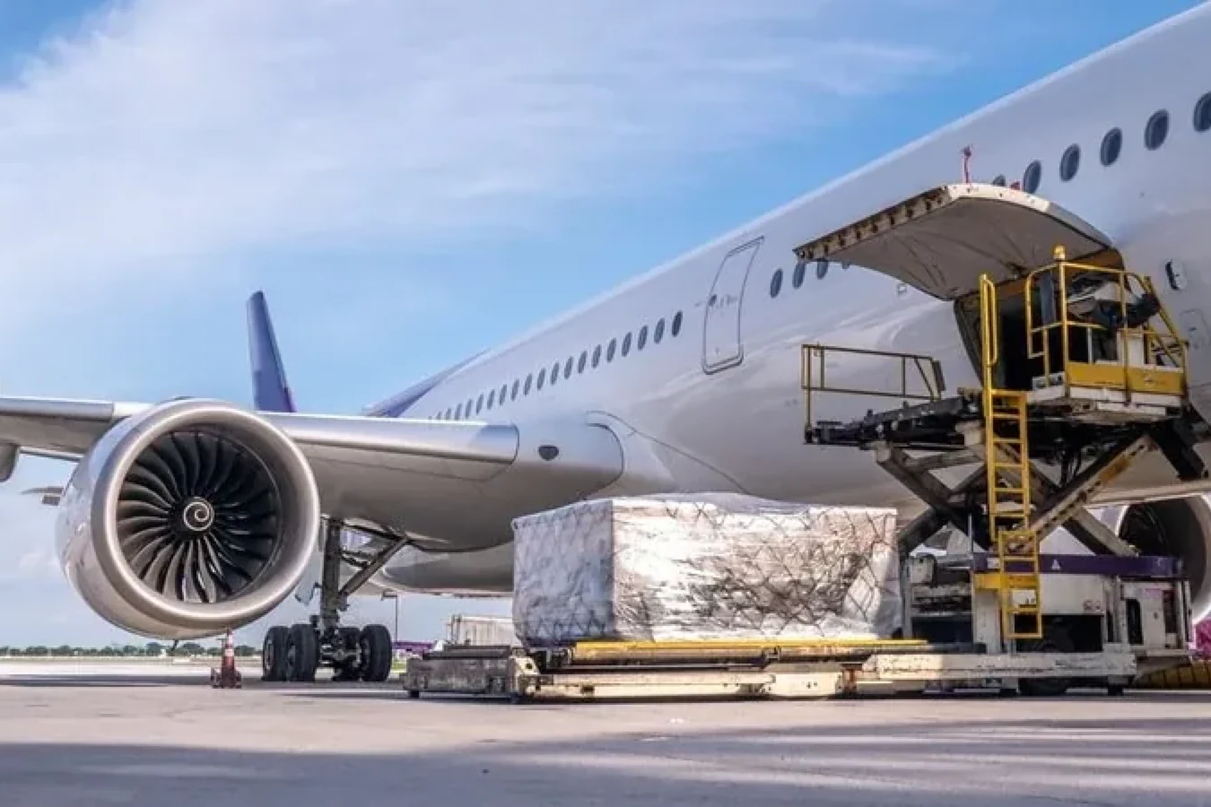 Air cargo being loaded to illustrate documented handling and outbound logistics